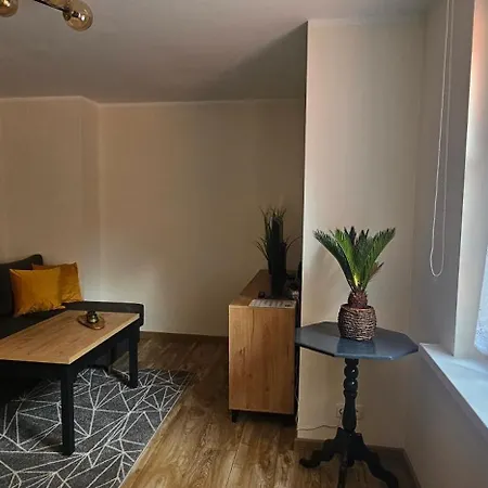 5- Bliżej Zdroju Apartament *